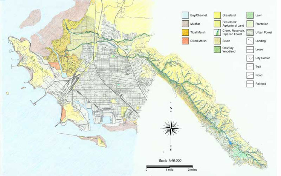 During World War II Richmond's population quadrupled as immigrants flocked to the area to work in the Kaiser Shipyards. Development quickly followed and by 1960 much of the watershed had been altered. This map from 1950 shows the rapid growth along the coast, with new railways, streets, and docks to support industry.